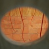 Peep Show, Morean Arts Center, St. Petersburg, FL, 2011
