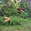 Change of Use, Watershed Center for the Ceramic Arts, Newcastle, ME, 2012