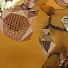Transversion