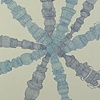 Dendrites