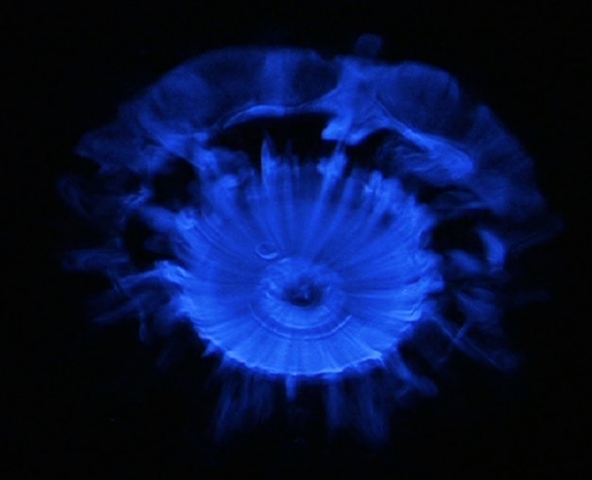 Splash Image