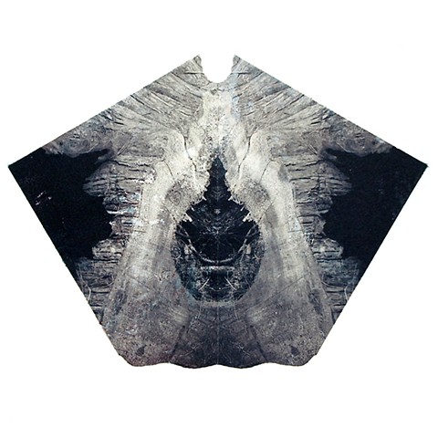 Splash Image