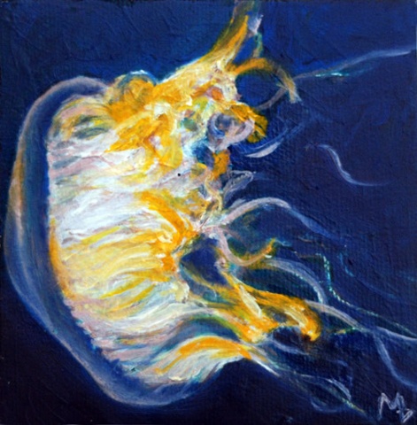 Jellyfish