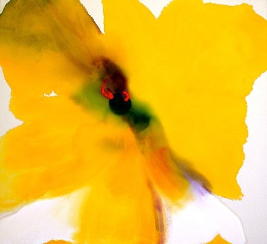 Splash Image