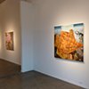 Solo Exhibition "The future is not whay it used to be", New Gallery, Houston, Texas 2011.