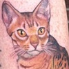 Tattoos