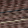 Teleological Study with Hose (detail)