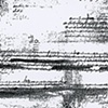 Xerographic Variations: Fragility V.3
(2011-present)
