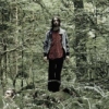 A Forest (Petals & Mirrors)