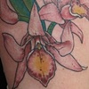 Fleurs