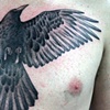crow chest