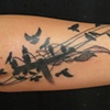 oiseaux 3