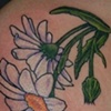 Marguerite