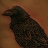 corbeau