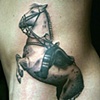 horse