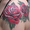 roses tattoo