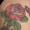 roses couleur sur epaule