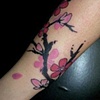 Fleurs