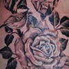 Tatouage roses r&eacute;aliste