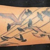 oiseaux 2