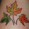 Tatouage feuilles d'&eacute;rable