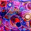 EVOLUTIONIZED COMPOSITION II