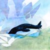 Letter to a Lost Penguin