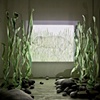 Becoming Formless