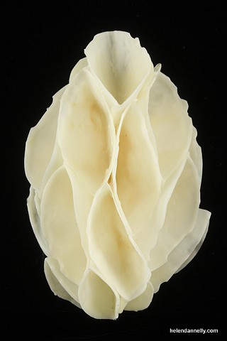 Splash Image
