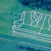 The Felt Field