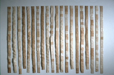 Lines of the Hand (Overall)