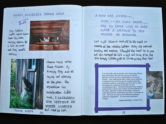 Taming Wild Barn Cats (View 1)