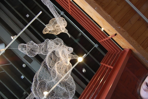 "Fascia" The Diaphanous Organs series are fantastic and surreal handmade metal netting inspired by the details of anatomy.