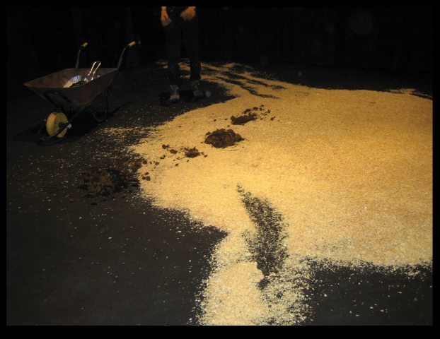 "Dog Toby's Paradise Fun Show"   2005    by Hewlett & Eaton   