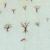 33 1/3