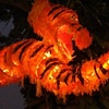 tiger the size of a bus from the cambodian carnival (see more at the community arts section)
