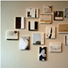 Installation of "Detail" paintings at SF MOMA Artist Gallery Jan 09
