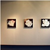 Installation of "Scatter" paintings at SF MOMA Artist Gallery Jan 09