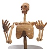 "Armature for a Giant"