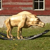"An Entelodon Astride Two Serpents"