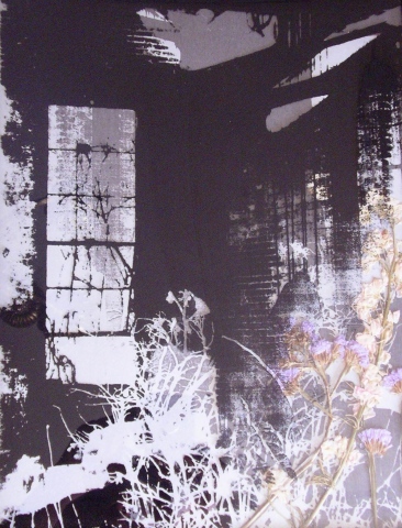 Screenprint on glass, paper, and wildflowers collected from post-industrial brownfield layered into metal frame shadowbox