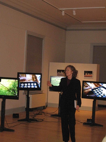Sandra during opening presentation