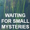 Waiting for small mysteries (Aspettando piccoli misteri)
