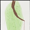 Oval / Lily Remains, no. 2