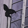 Untitled (window exterior with black shape)