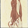 Skate Wing / Lily Remains