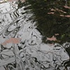 Reflecting Ripples