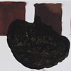 Untitled (test wall colors and mushroom)