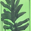 Eternelle
