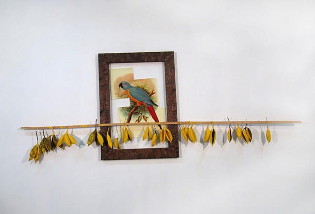 Water Kerner "Extinct Red Tailed Macaw" painting